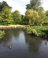 Speaker Meeting: Past, Present and Future Parks and Open Spaces Projects